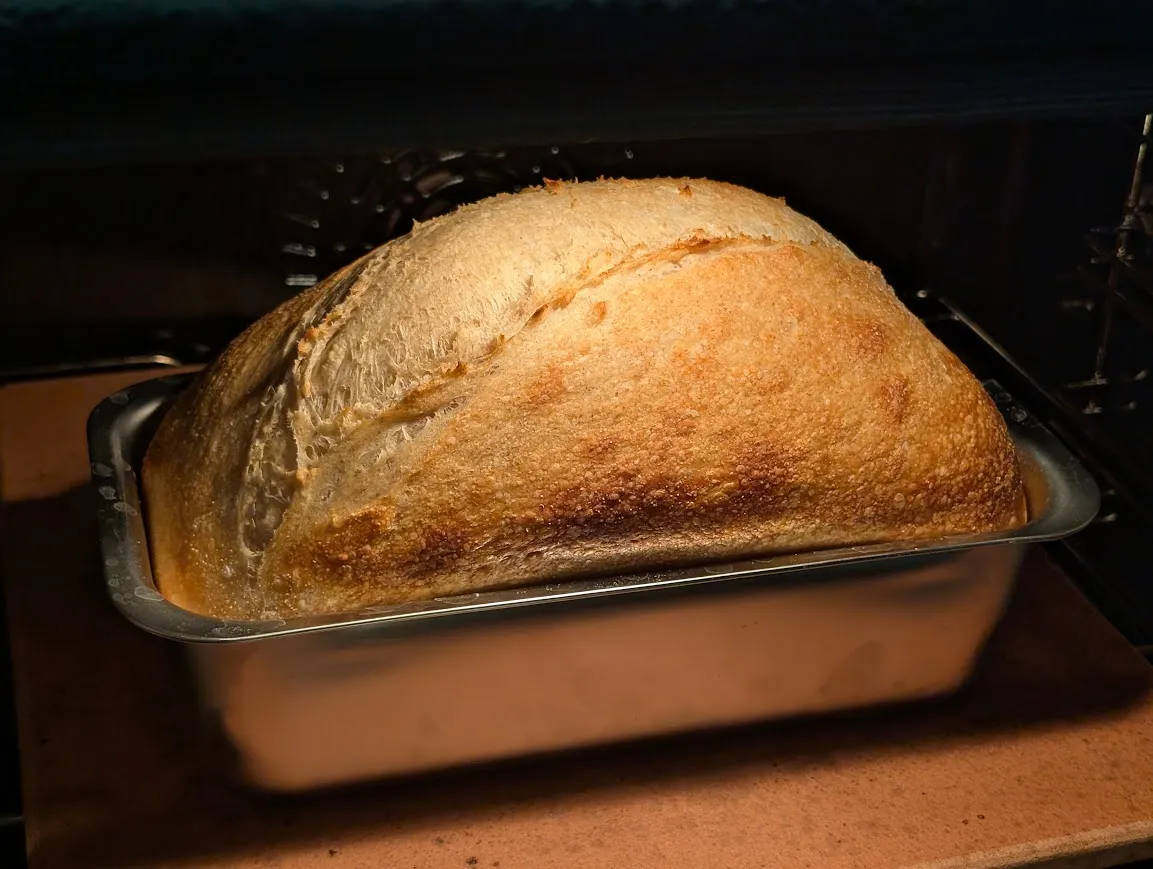 Classic Wheat Bread